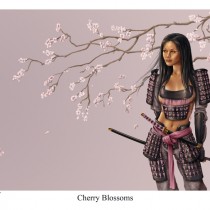 Cherry Blossoms by Mitch Foust